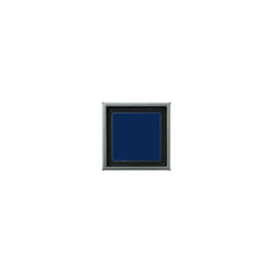 Jung simple Cadre Cache acier inoxydable ES2981 1 pc(s)