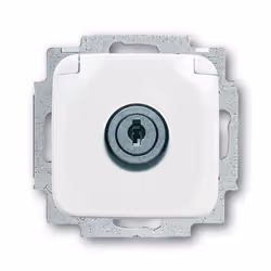 Busch-Jaeger 20 EUKSL-214-101, SC, 2P+E, Blanc, 250 V, 16 A, 71 mm