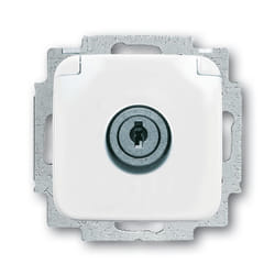 Busch-Jaeger 20 EUKSL-214-101 prise de courant SC Blanc