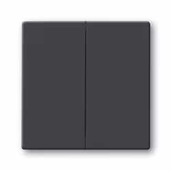 Busch-Jaeger 1751-0-2930, Boutons, Anthracite, 63 mm, 63 mm, 1 pièce(s)