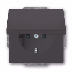Busch-Jaeger 20 EUK-81, CEE 7/3, 2P+E, Noir, 250 V, 16 A, 63 mm