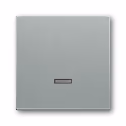 Busch-Jaeger 6543-83-101, Aluminium, Busch-Jaeger, 63 mm, 63 mm, 1 pièce(s)