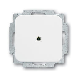 Busch-Jaeger 2538-214 Blanc