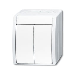 Busch-Jaeger 2601/5 W-54 commutateur électrique 2P Blanc
