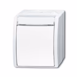 Busch-Jaeger 2601/6 WN-54, 1P, Blanc, 250 V, 10 A, 74 mm, 55 mm