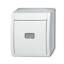 Busch-Jaeger 2601/6 WGL-54 commutateur électrique 1P Blanc