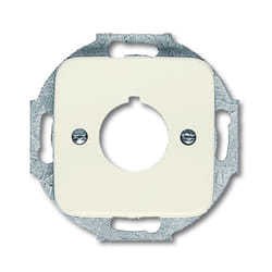 Busch-Jaeger 1724-0-0210 Plaque de commutation et obturateur Argent, Blanc
