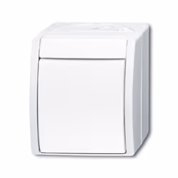 Busch-Jaeger 2601/6 W-54, 1P, Blanc, 250 V, 10 A, 74 mm, 55 mm