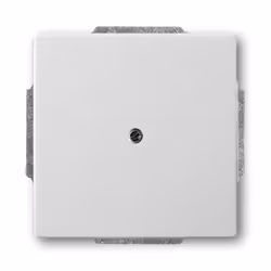 Busch-Jaeger 1749-866, Blanc, Acier inoxydable, Busch-Jaeger, 63 mm, 63 mm, 1,4 cm
