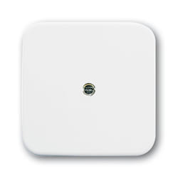 Busch-Jaeger 1724-0-0921 Plaque de commutation et obturateur Blanc