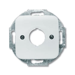 Busch-Jaeger 1724-0-1150 Plaque de commutation et obturateur Argent, Blanc