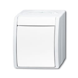 Busch-Jaeger 1484-0-0380 interrupteur d'éclairage Blanc