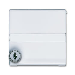 Busch-Jaeger 2118 GKSLN/11-34 Blanc