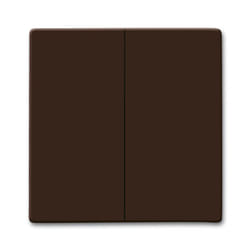 Busch-Jaeger 2105-31 Marron
