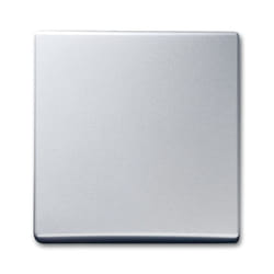 Busch-Jaeger 2106-33 Argent