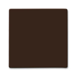 Busch-Jaeger 2106-31 Marron