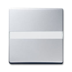Busch-Jaeger 2106 N-33 Argent