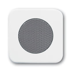 Busch-Jaeger 8200-0-0077 Plaque de commutation et obturateur Blanc