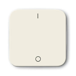 Busch-Jaeger 2502-212 Blanc