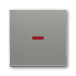 Busch-Jaeger 1751-0-3013 interrupteur d'éclairage Plastique Gris