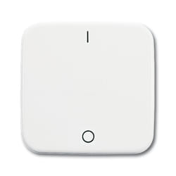 Busch-Jaeger 2502-214 Blanc