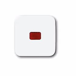 enquête Appareillage Busch & Jaeger description Comme couvercle pour interrupteur UP, interrupteur à bascule, interrupteur cr ...