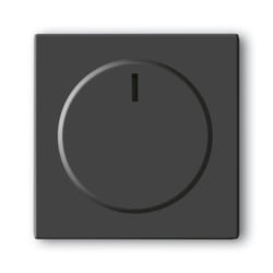 Busch-Jaeger 6540-81-102 Anthracite