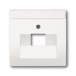 Busch-Jaeger 1710-0-3889, Blanc, conventionnel, Toutes marques, 63 mm, 63 mm, 1 pièce(s)
