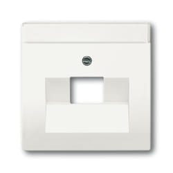 Busch-Jaeger 1710-0-3889 Plaque de commutation et obturateur Blanc