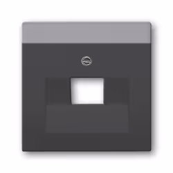 Busch-Jaeger 1710-0-3912, Noir, conventionnel, Toutes marques, 63 mm, 63 mm, 1 pièce(s)