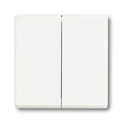 Busch-Jaeger 1751-0-3024 interrupteur d'éclairage Plastique Blanc
