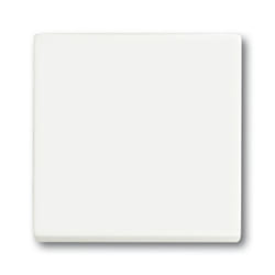 Busch-Jaeger 1751-0-3027 interrupteur d'éclairage Plastique Blanc
