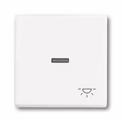 Busch-Jaeger 1751-0-3031, Boutons, Blanc, Plastique, 63 mm, 63 mm, 1 pièce(s)