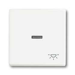 Busch-Jaeger 1751-0-3031 interrupteur d'éclairage Plastique Blanc