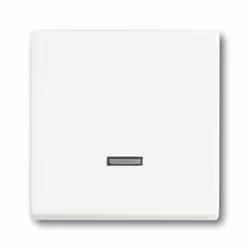 Busch-Jaeger 6599-0-2963, Boutons, Blanc, 63 mm, 63 mm, 1 pièce(s)