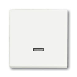 Busch-Jaeger 6599-0-2963 interrupteur d'éclairage Blanc