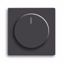 Busch-Jaeger 6540-885-102, Noir, Busch-Jaeger, 2112 U-101/2116(/11) U/ 2117(/11) U/2247 U/2250 U/6513 U-102/6517 U-10x/6519 U ...