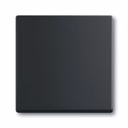 Busch-Jaeger 1751-0-3041, Boutons, Noir, Plastique, 63 mm, 63 mm, 1 pièce(s)