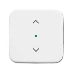 Busch-Jaeger 6220-0-0082 support pour capteur et couvre-pied Blanc