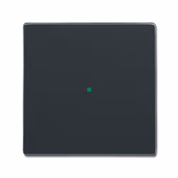 Busch-Jaeger 2CKA006220A0032, Anthracite, Busch-free@home