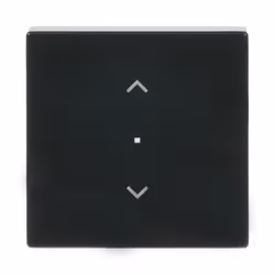 Busch-Jaeger 6232-10-81, Anthracite, Thermoplastique, Sans vis, Busch-Jaeger, Brillant, Plaque frontale