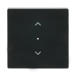 Busch-Jaeger 6232-10-81 Anthracite