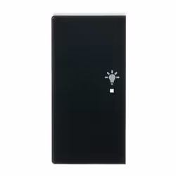 Busch-Jaeger 6231-21-81, Anthracite, Thermoplastique, Sans vis, Busch-Jaeger, Brillant, Plaque frontale