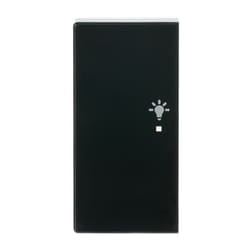 Busch-Jaeger 6231-21-81 Anthracite