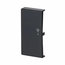 Busch-Jaeger 6231-21-81 Anthracite