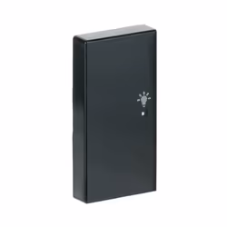 Busch-Jaeger 6231-21-81 Anthracite