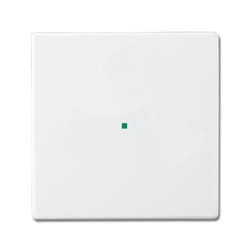 Busch-Jaeger 6230-10-84 Plaque de commutation et obturateur Blanc