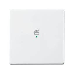 Busch-Jaeger 6220-0-0043 support pour capteur et couvre-pied Blanc