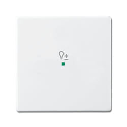 Busch-Jaeger 6220-0-0046 support pour capteur et couvre-pied Blanc