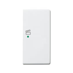 Busch-Jaeger 6220-0-0070 support pour capteur et couvre-pied Blanc
